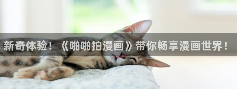 漫蛙漫画免费看哪里