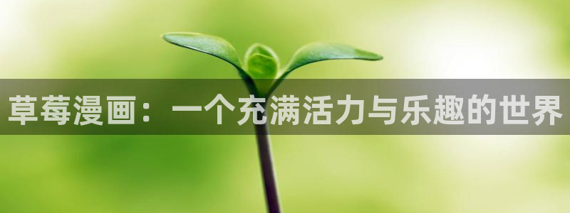 manwa漫蛙漫画官网入口