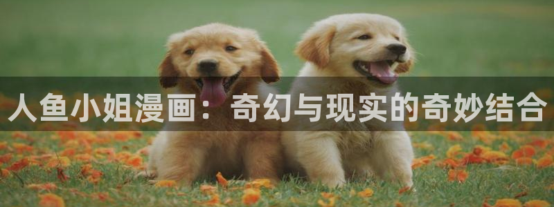 漫蛙漫画下载正版官网