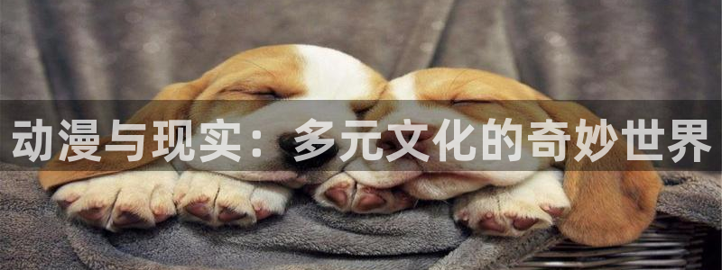 www.漫蛙漫画.too：动漫与现实：多元文化的奇妙世界